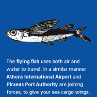 Flying Fish